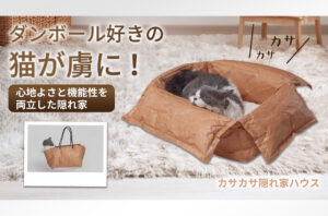 makuake販売用商品画像